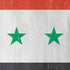 Syria Flag Distressed iPhone XS Max Skin
